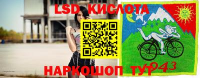 крисы Коммунар
