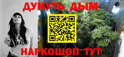 крисы Коммунар